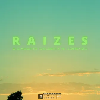 Raizes by 