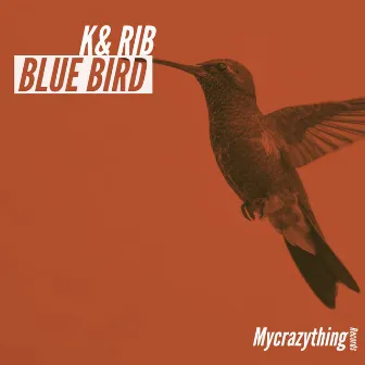 Blue Bird by K+Rib