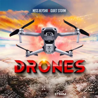 Drones by Quiet Storm