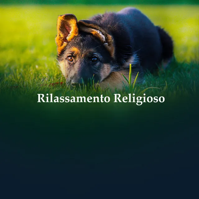 Rilassamento Religioso