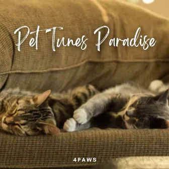 4Paws: Pet Tunes Paradise by Famous Doggy Music