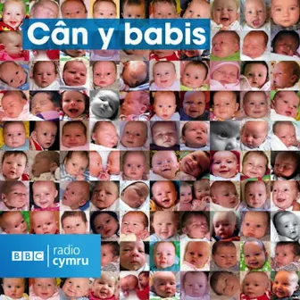 Can Y Babis by Caryl Parry Jones