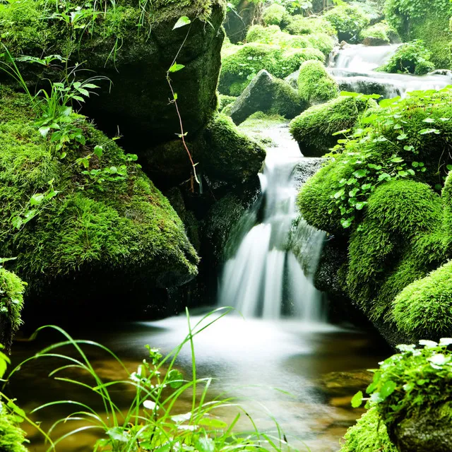 Sleep Soundscapes: Stream Water's Nighttime Whispers