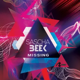 Missing by Sascha Beek