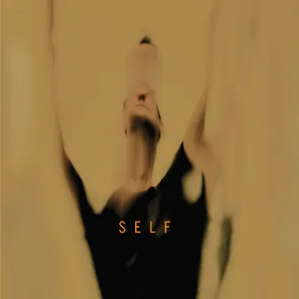 Self by Silas Bassa