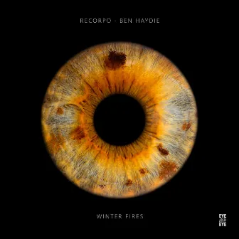 Winter Fires by ReCorpo