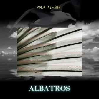 Volo AZ-504 by Albatros