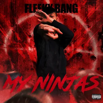 My Ninjas by Fleeky Bang