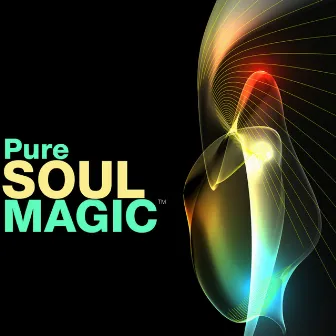 Pure Soul Magic by Amanda Lyon