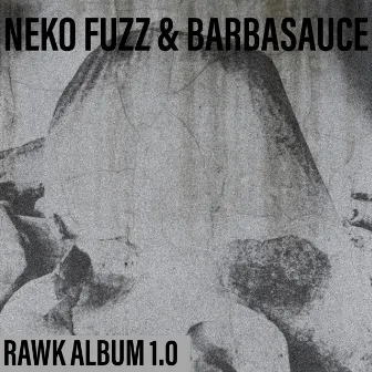 Rawk Album 1.0 by Barbasauce