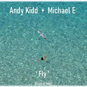 Fly (Original Mix) by Andy Kidd