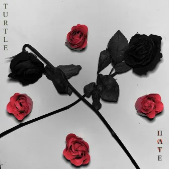 LOVE&HATE by Turtle