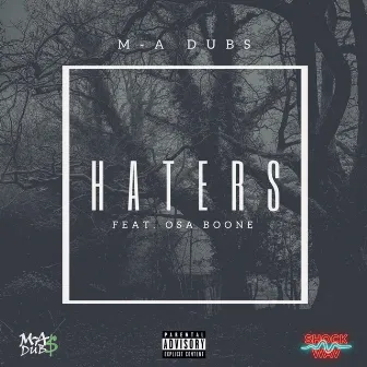 Haters by M-A DUBS