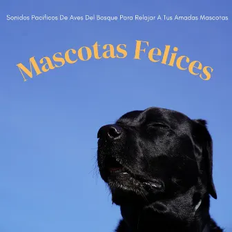 Mascotas Felices: Sonidos Pacíficos De Aves Del Bosque Para Relajar A Tus Amadas Mascotas by Musica del bosque