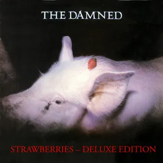 Strawberries (Deluxe Edition) by The Damned