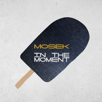 In the Moment by Mosek