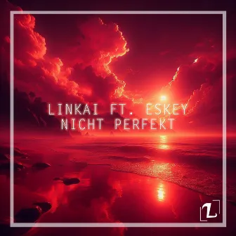 Nicht Perfekt by Linkai