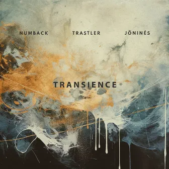 Transience by Jonines