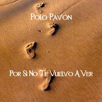 Por Si No Te Vuelvo a Ver by Polo Pavón