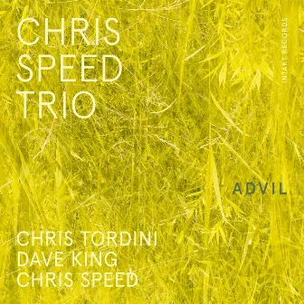 Advil by Chris Speed Trio