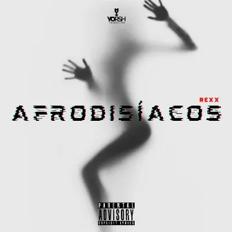 Afrodisíacos by Rexx