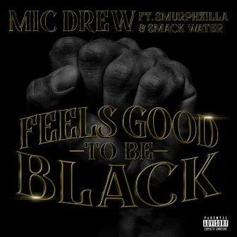 Feels Good to Be Black by Mic Drew