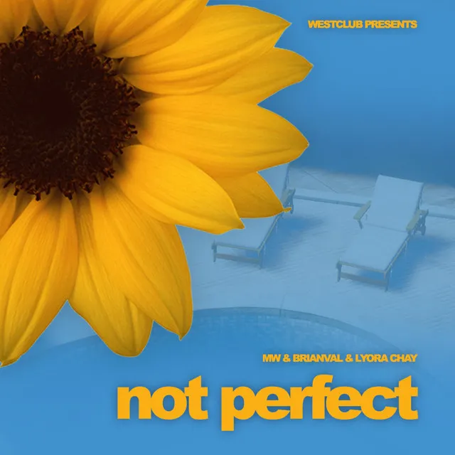 Not Perfect