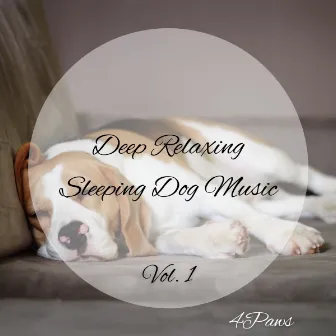 4Paws: Deep Relaxing Sleeping Dog Music Vol. 1 by Calm Dog Music