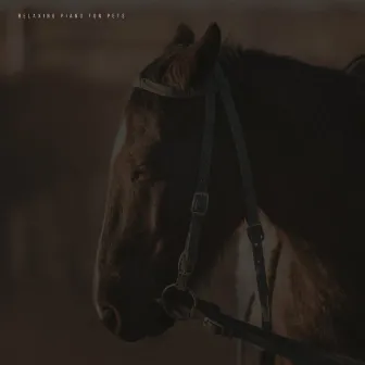 Music For Horses by Relaxing Piano For Pets