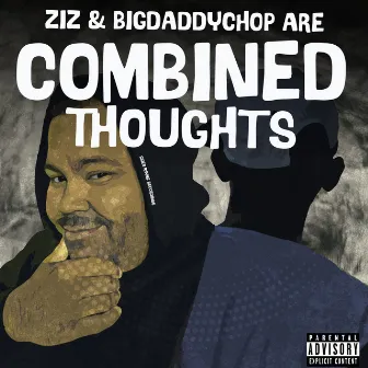 Combined Thoughts by Ziz