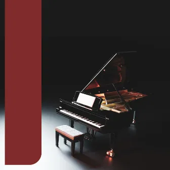 Piano Portraits: Echoes of Calm by Piano Aid Music