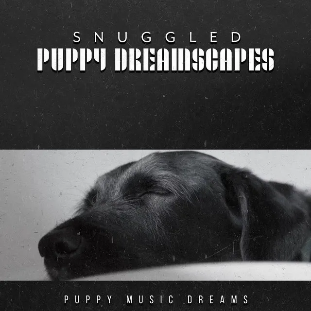 Snuggled Puppy Dreamscapes