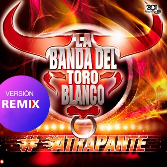 Quiero verte by La Banda del Toro Blanco