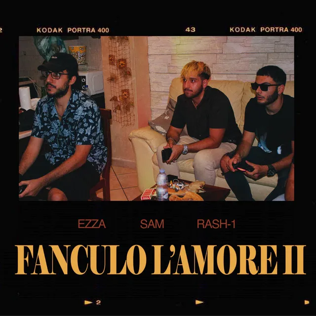 Fanculo l'amore II