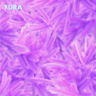 Fura by Fura