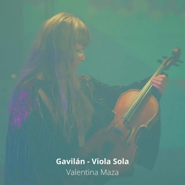 Gavilán (Viola Sola)