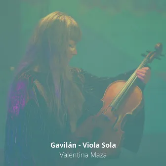 Gavilán (Viola Sola) by Valentina Maza