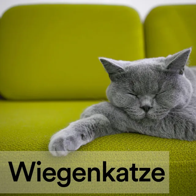 Wiegenkatze