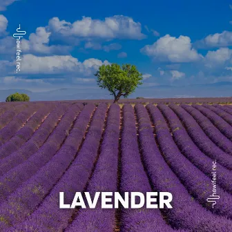 Lavander by Sinisa Lukic