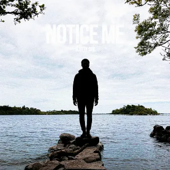 Notice Me by Scotty Sire