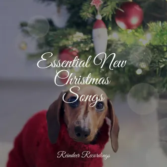 Essential New Christmas Songs by The Christmas Chorus