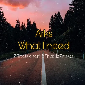 What I Need by ARKS