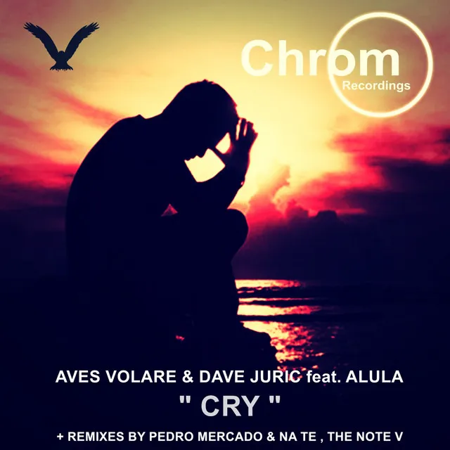 Cry - Pedro Mercado & Na Te Remix