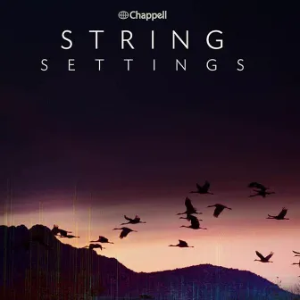 String Settings by David Bertrand Holland