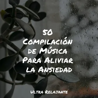 50 Compilación de Música Para Aliviar la Ansiedad by Meditacion Budista Maestros