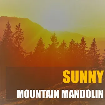 Sunny Mountain Mandolin by John Michael Kane