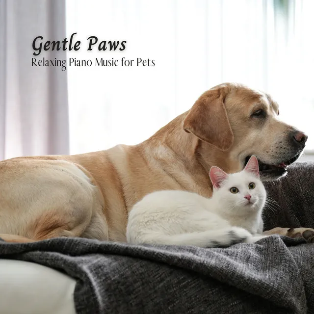 Gentle Paws: Relaxing Piano Music for Pets