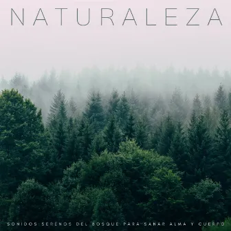 Naturaleza: Sonidos Serenos Del Bosque Para Sanar Alma y Cuerpo by Ruidos de la Selva