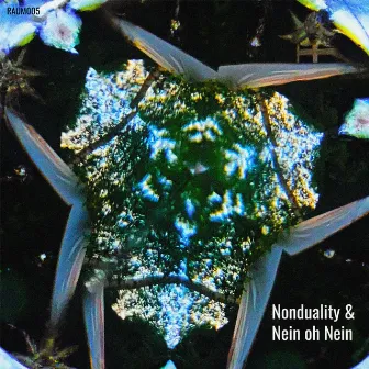 RAUM005 by Nonduality