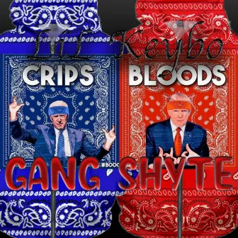 Gang Shyte (Edited Version) by DJ J ROC 903